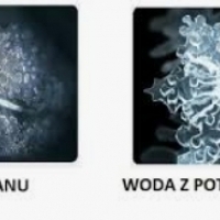 Strukturiertes Wasser