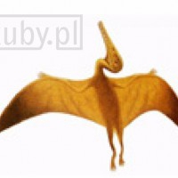 Przepis kucharski na Skrzydełka z kurczaka