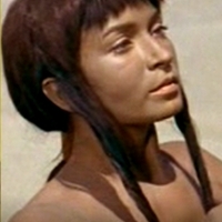 Teoria Strzałek. PO 60 LATACH. TS016