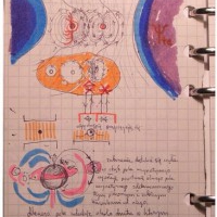 Teoria Strzałek. WŁOSY. TS040