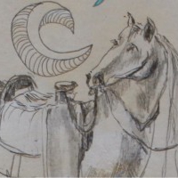 Teoria Strzałek. SCYPIO. TS058
