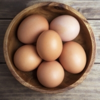Nasze Gospodarstwo znajduje się produkcją świeżych jaj konsumpcyjnych od dwóch pokoleń.