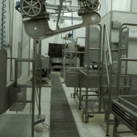 Ubojnia bydła i trzody. POSIADAMY NOWOCZESNĄ LINIĘ TECHNOLOGICZNĄ UBOJU BYDŁA I TRZODY.