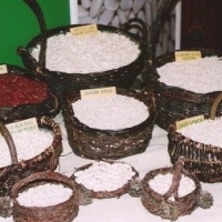 NA RYNKU KRAJOWYM VITALPOL JEST LICZĄCYM SIĘ DOSTAWCĄ FASOLI BIAŁEJ, CZERWONEJ I GROCHU