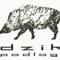 DZIK-PODŁOGI. Producent. Podłogi z drewna jesionowego. Listwy przypodłogowe.