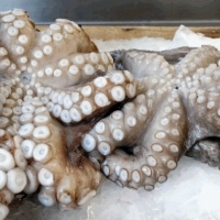 ŚWIEŻE RYBY I OWOCE MORZA. ŚWIEŻE MIĘSO, SERY AOC. WIELE FRANCUSKICH I WŁOSKICH ARTYKUŁÓW DELIKATESOWYCH.