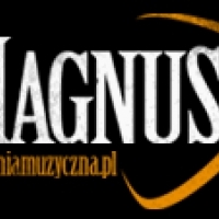 MAGNUS. Hurtownia. Systemy nagłośnieniowe. Systemy oświetleniowe.