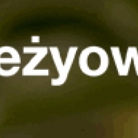 PRODUKCJA OWOCÓW. SPRZEDAŻ OWOCÓW. SAD JABŁONI. 