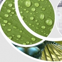 LUBRINA. Producent. Środki smarne, preparaty silikonowe.