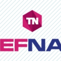 TEFNAR. Producent. Produkty chemiczne. Pigmenty nieorganiczne.