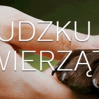 VET-AGRO. Producent. Leki dla zwierząt.