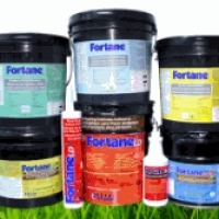 FORTANE. Company. Wood Flooring Adhesive Systems.