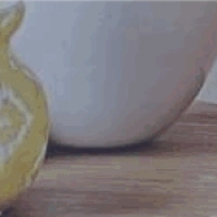 ZANUI. Company. Chairs. Desks. Tables. Accessories for kids.