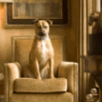 UTTERMOST. Contact. Furniture accessories. Lights. Mirrors.