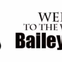 BAILEYCHASSIS. Company. Parts of the chassis. Car parts. Spare parts.