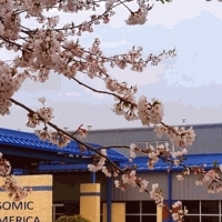 SONICAMERICA. Company. Automotive body parts. Auto parts.