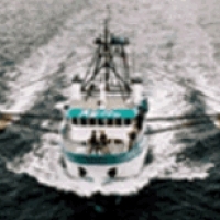 ASA. Company. Boats, ships and vessels. Ship parts.