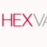 HEXVALVE. Company. Needle valves, metal parts, metal valves.
