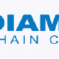 DAIMOND. Company. Chains, metal chains, roller chains, speciality chains.