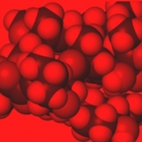 eukarionty, rapamycyna, Caenorhabditis elegans, nicienie . Mieszanka leków podwajająca długość życia eukariontów.
