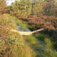 Sól borowinowa do kąpieli i okładów. BingoSpa. B105. Торфяная соль для ванн и обертываний. Torfsalz für Bäder und Packungen.