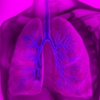 Zapalenie oskrzeli to najczęściej wirusowa, bardzo powszechna choroba układu oddechowego. 