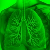 La bronchite è spesso una malattia respiratoria virale molto comune.