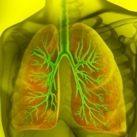 برونکائٹس اکثر سانس کی بیماری ، وائرل ہونے کی وجہ سے ہوتا ہے۔