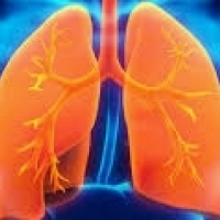 A bronquite é geralmente uma doença respiratória viral muito comum.