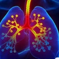 Bronkitt er ofte en viral, veldig vanlig luftveissykdom.