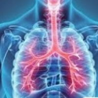 2: ברונכיטיס היא לרוב מחלת נשימה ויראלית, שכיחה מאוד.