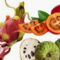 Hoe kies je gezond vruchtensap?