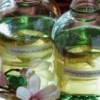 Naturlige essensielle og aromatiske oljer for aromaterapi.