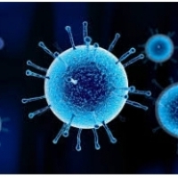 インフルエンザの症状：インフルエンザ感染と合併症の方法：6