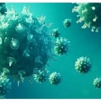 Symptômes de la grippe: Manières d'infection grippale et complications: