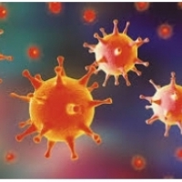 أعراض الأنفلونزا: طرق الإصابة بالأنفلونزا ومضاعفاتها:6