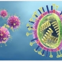 Flu symptoms: Ways of influenza infection and complications: