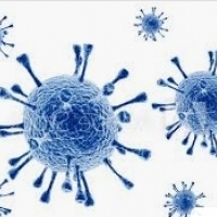 Sposoby zakażania grypą i powikłania: Jak bronić się przed wirusami: