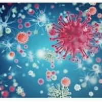 Maniere van griepinfeksie en komplikasies: Hoe om teen virusse te verdedig: