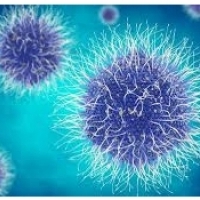 Influenssatartunnan ja komplikaatioiden tapoja: Kuinka puolustaa viruksia: