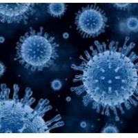 דרכי זיהום שפעת וסיבוכים: כיצד להתגונן מפני וירוסים:6