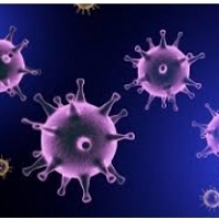 Formas de infección por influenza y complicaciones: Cómo defenderse contra los virus: