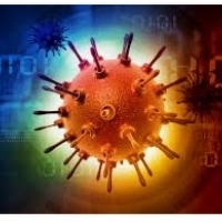 インフルエンザ感染と合併症の方法：ウイルスに対する防御方法：6