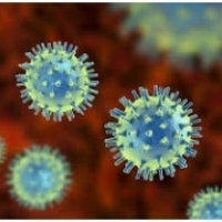 Formes d'infecció per grip i complicacions: Com defensar-vos dels virus: