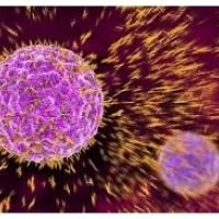 인플루엔자 감염 및 합병증의 방법 : 바이러스 예방 방법 :6