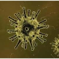 วิธีการติดเชื้อไข้หวัดใหญ่และภาวะแทรกซ้อน: วิธีการป้องกันไวรัส:6