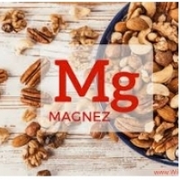 Funcions de magnesi en processos bioquímics cel·lulars: