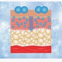 Cellum biochemicae processibus de magnesii in munera;