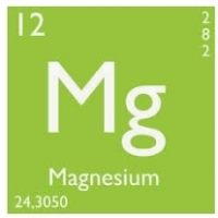 Distribution, processing and storage of magnesium ions in the human body: