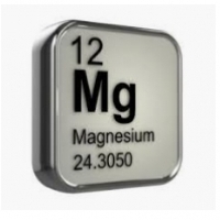 Qaybinta, socodsiinta iyo kaydinta ion magnesium ee jidhka bini’aadamka: